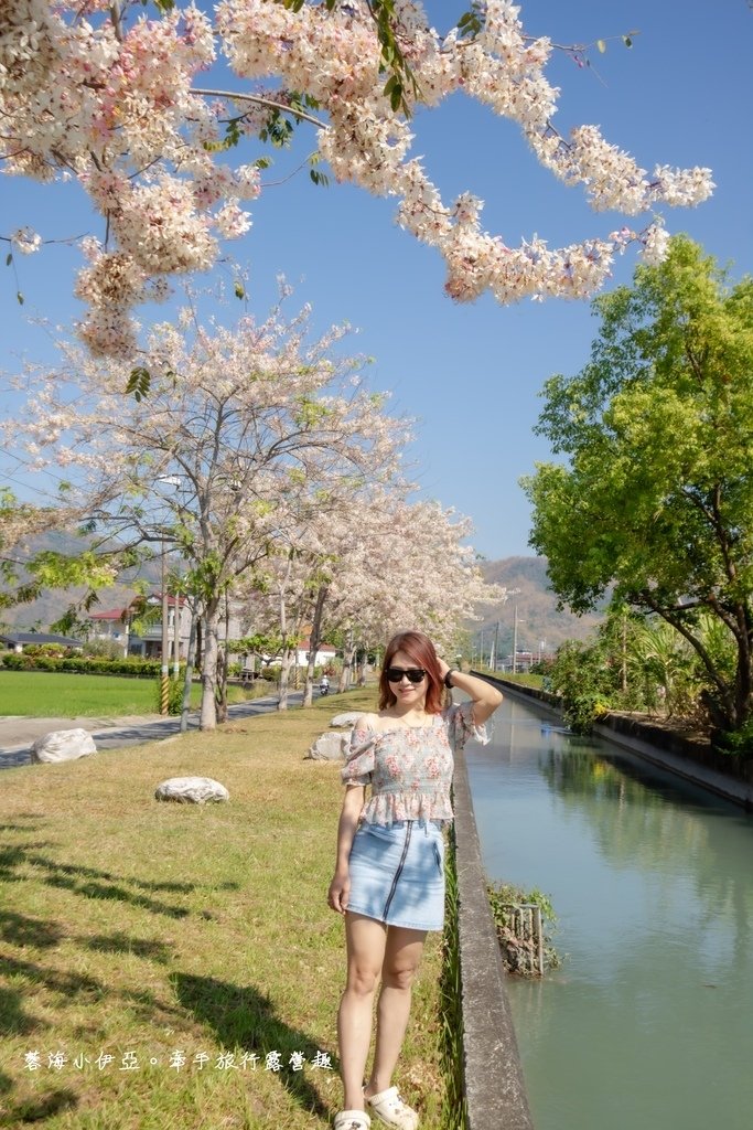 高雄【美圳露營區】與【美濃獅子頭水圳驛站】最美花旗木水道，花旗木下露營超浪漫的啦