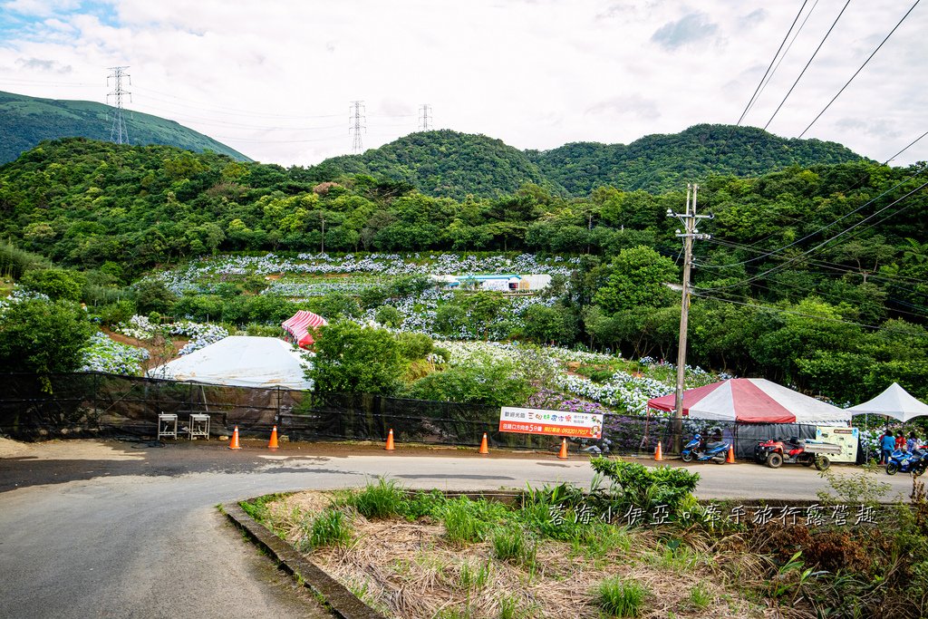 新北【高家繡球花田萬里第三園區】佔地8000坪繡球花田，2025開園時間、門票資訊、交通資訊