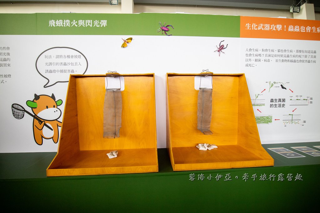 嘉義水上【北回二館太空教育館】免門票景點，以太空科學為主題，身歷其境的太空世界
