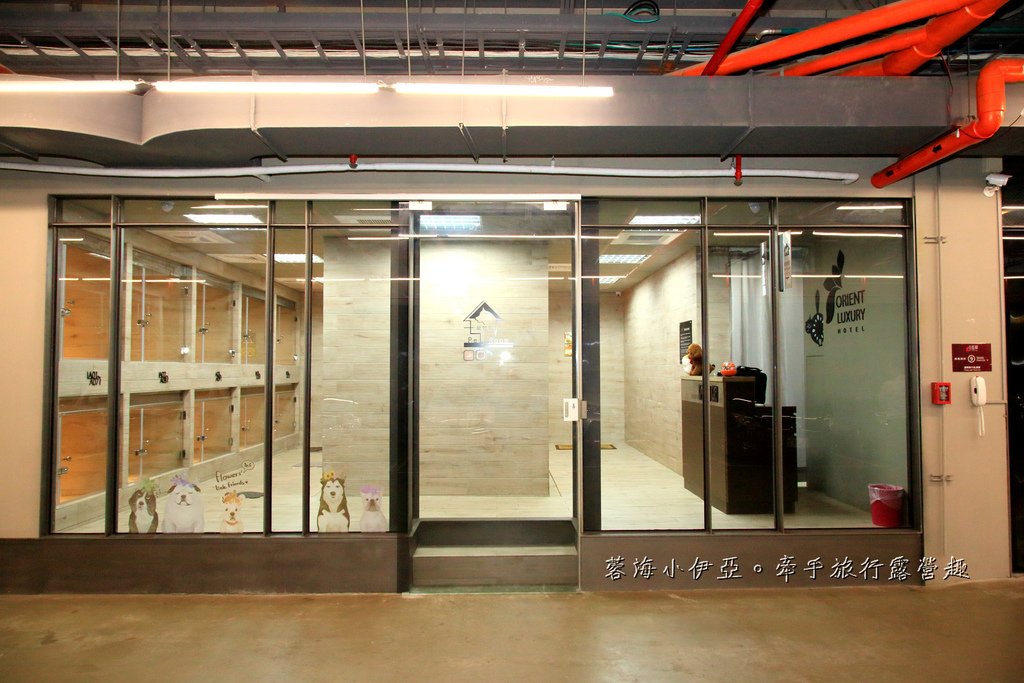 嘉義親子住宿【嘉楠風華酒店】兩層樓親子館、金屬旋轉不鏽鋼溜滑梯、寵物友善住宿、露天酒吧