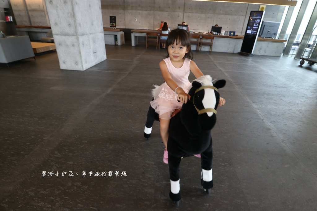 嘉義親子住宿【嘉楠風華酒店】兩層樓親子館、金屬旋轉不鏽鋼溜滑梯、寵物友善住宿、露天酒吧