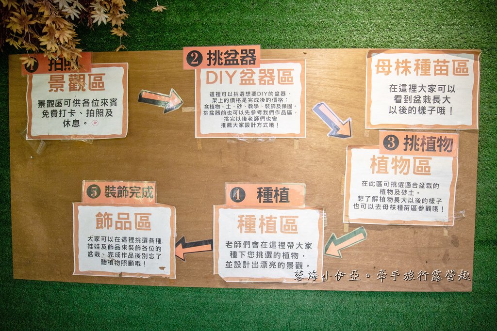 南投埔里【多肉秘境福興店】免門票景點，台版峴港佛手掌、天國階