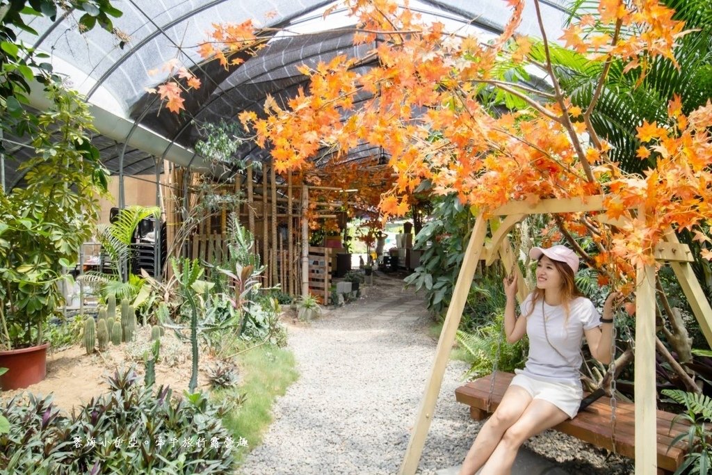 南投埔里【多肉秘境福興店】免門票景點，台版峴港佛手掌、天國階梯、網美泡泡屋