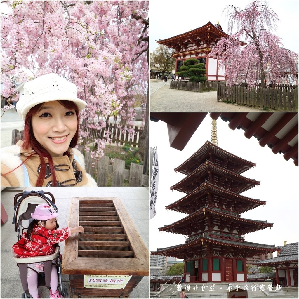 大阪賞櫻景點【四天王寺】讓人心花怒放美麗枝垂櫻，日本最古老的建築樣式之一