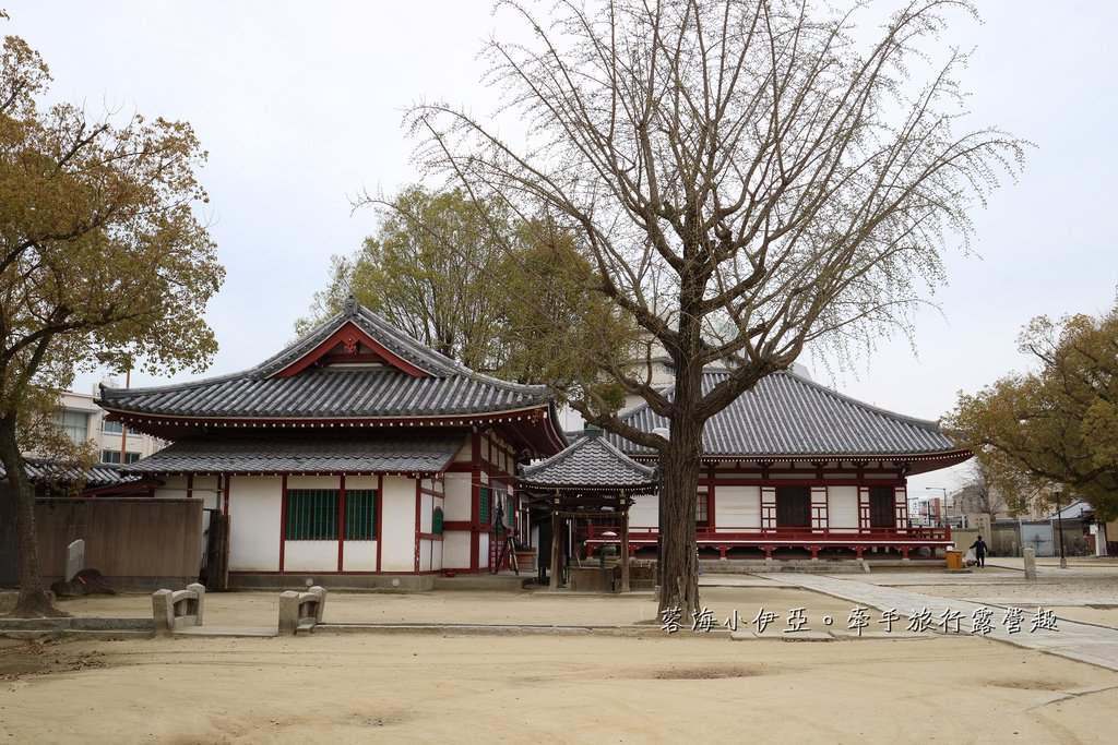大阪賞櫻景點【四天王寺】讓人心花怒放美麗枝垂櫻，日本最古老的建築樣式之一
