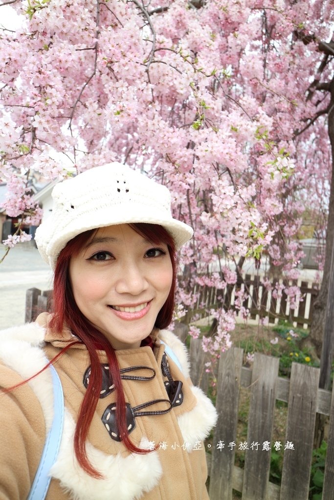 大阪賞櫻景點【四天王寺】讓人心花怒放美麗枝垂櫻，日本最古老的建築樣式之一