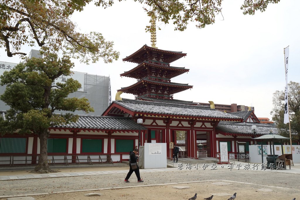大阪賞櫻景點【四天王寺】讓人心花怒放美麗枝垂櫻，日本最古老的建築樣式之一