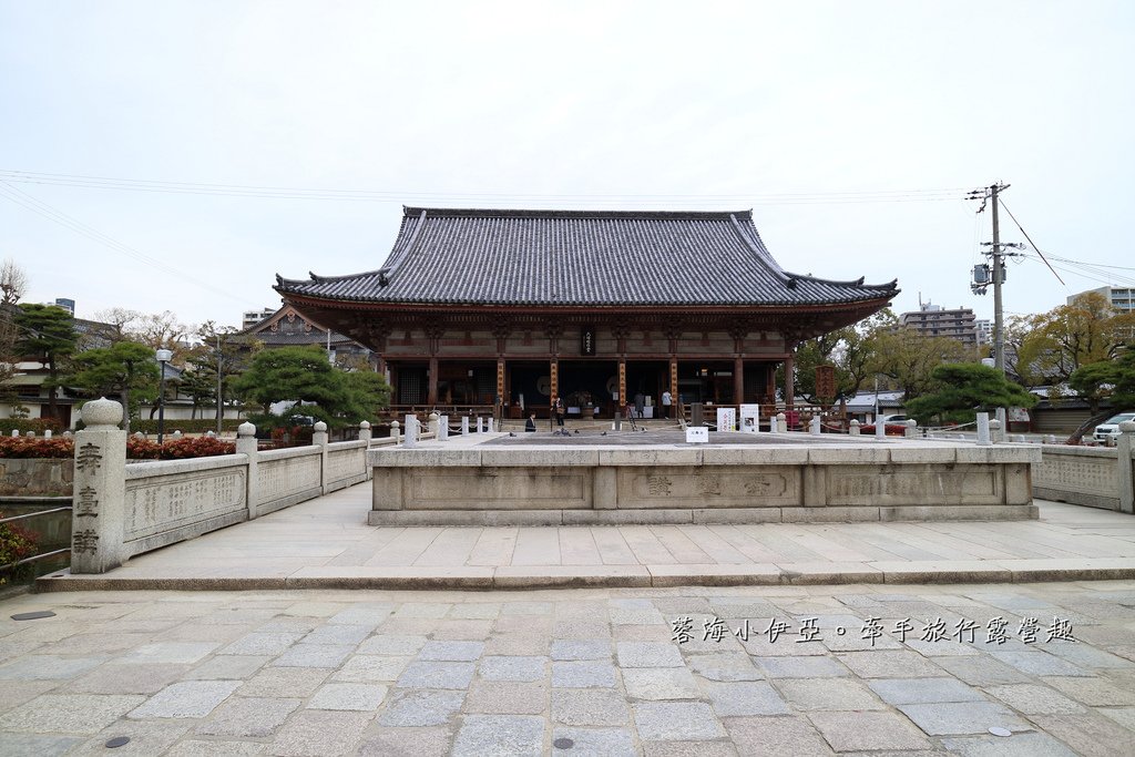 大阪賞櫻景點【四天王寺】讓人心花怒放美麗枝垂櫻，日本最古老的建築樣式之一