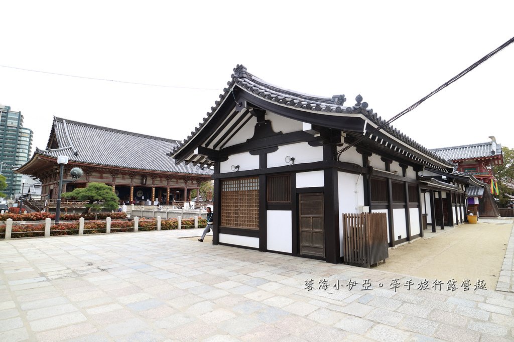 大阪賞櫻景點【四天王寺】讓人心花怒放美麗枝垂櫻，日本最古老的建築樣式之一