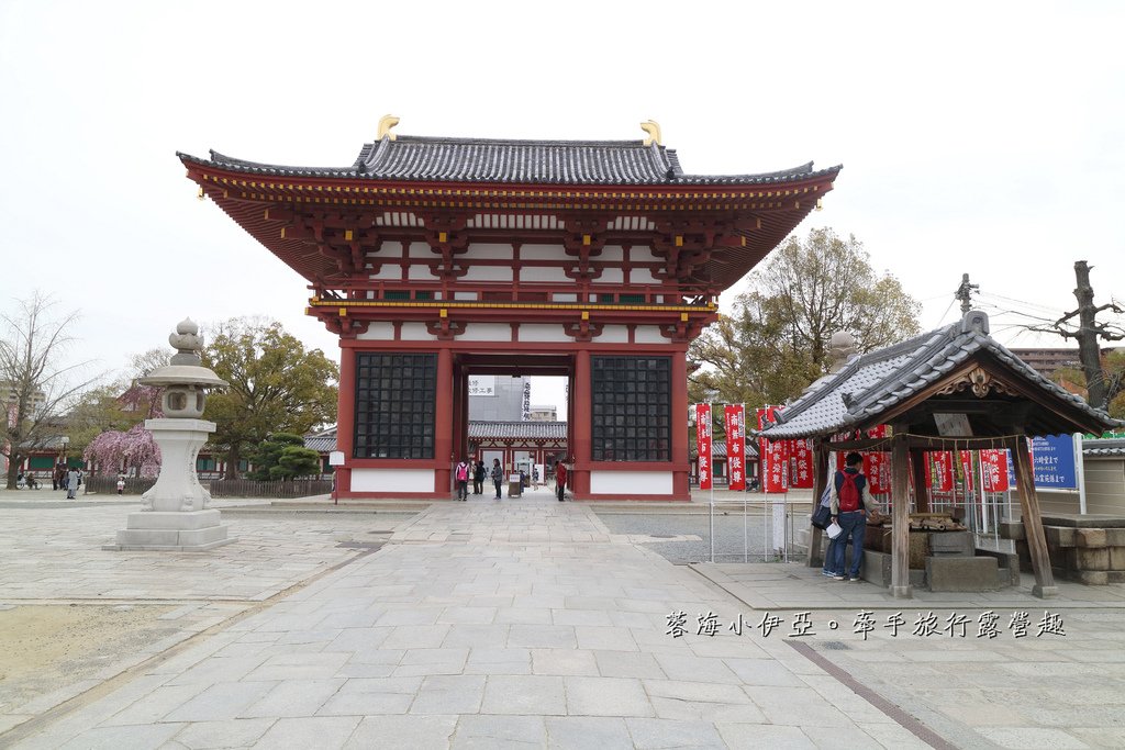 大阪賞櫻景點【四天王寺】讓人心花怒放美麗枝垂櫻，日本最古老的建築樣式之一
