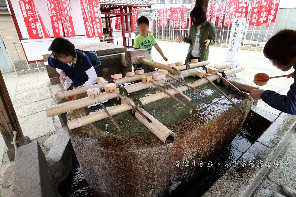 大阪賞櫻景點【四天王寺】讓人心花怒放美麗枝垂櫻，日本最古老的建築樣式之一