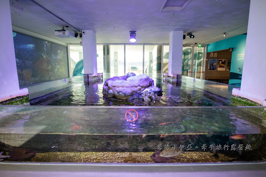 2025基隆新景點【潮境智能海洋館】七米巨型魚缸的超大魟魚，門票資訊、交通方式、停車資訊，附近景點一日遊規劃