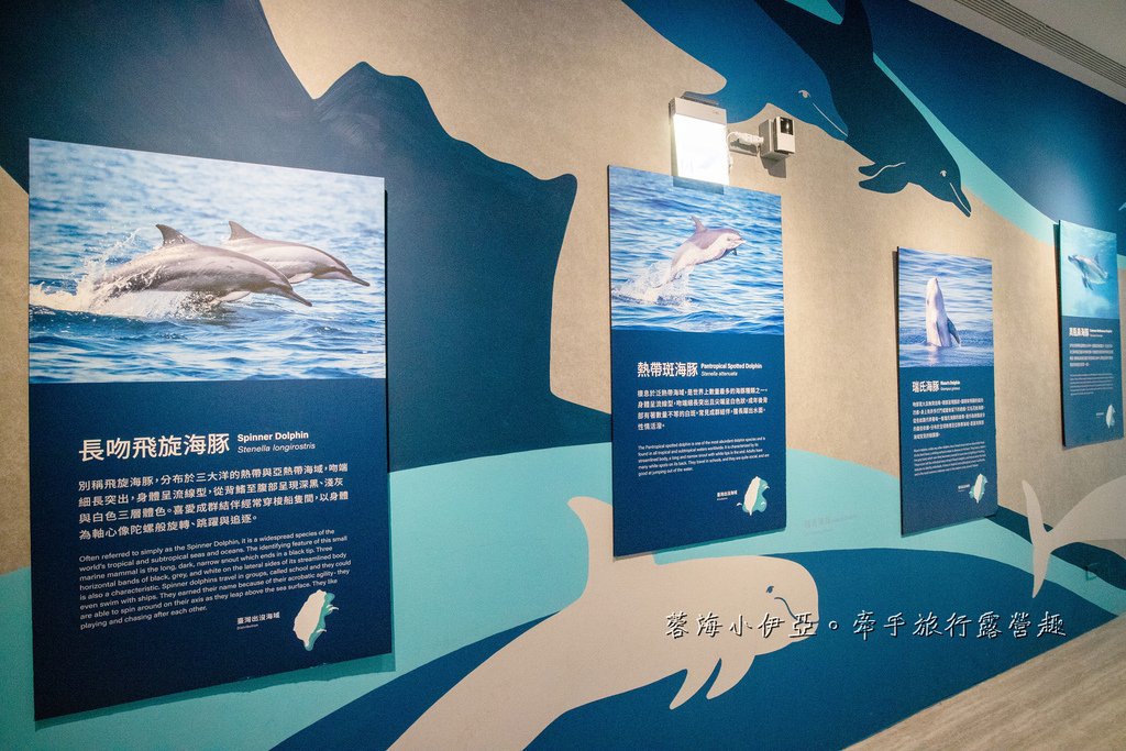 2025基隆新景點【潮境智能海洋館】七米巨型魚缸的超大魟魚，門票資訊、交通方式、停車資訊，附近景點一日遊規劃