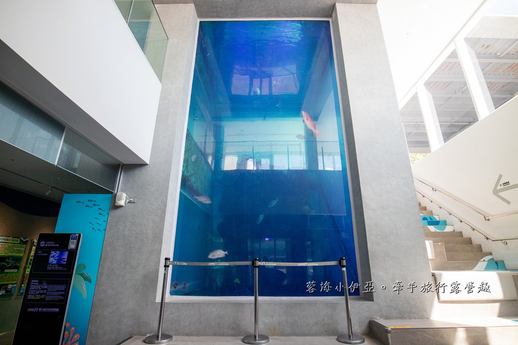 2025基隆新景點【潮境智能海洋館】七米巨型魚缸的超大魟魚，門票資訊、交通方式、停車資訊，附近景點一日遊規劃