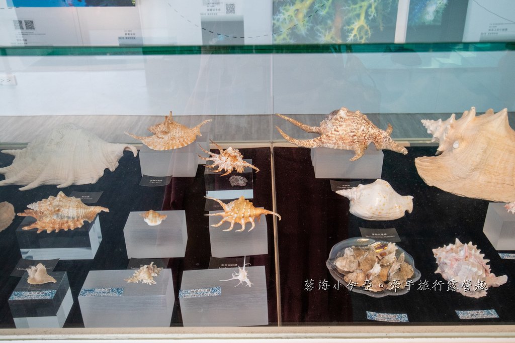 2025基隆新景點【潮境智能海洋館】七米巨型魚缸的超大魟魚，門票資訊、交通方式、停車資訊，附近景點一日遊規劃