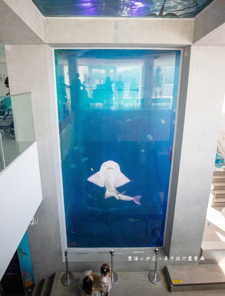 2025基隆新景點【潮境智能海洋館】七米巨型魚缸的超大魟魚，門票資訊、交通方式、停車資訊，附近景點一日遊規劃