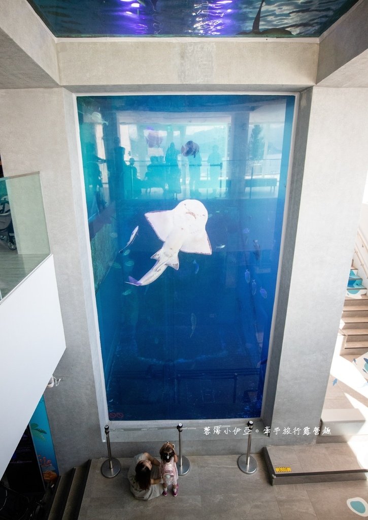 2025基隆新景點【潮境智能海洋館】七米巨型魚缸的超大魟魚，門票資訊、交通方式、停車資訊，附近景點一日遊規劃