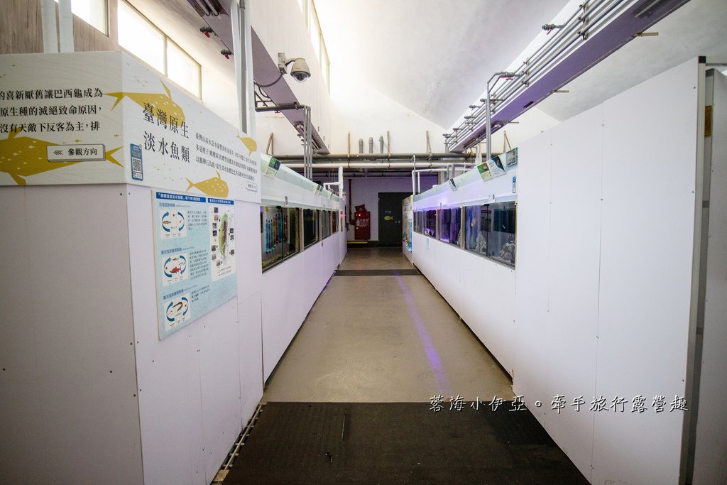 2025基隆新景點【潮境智能海洋館】七米巨型魚缸的超大魟魚，門票資訊、交通方式、停車資訊，附近景點一日遊規劃