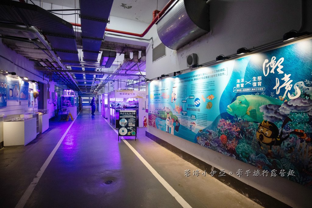 2025基隆新景點【潮境智能海洋館】七米巨型魚缸的超大魟魚，門票資訊、交通方式、停車資訊，附近景點一日遊規劃
