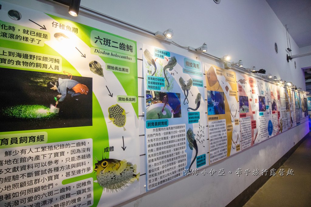 2025基隆新景點【潮境智能海洋館】七米巨型魚缸的超大魟魚，門票資訊、交通方式、停車資訊，附近景點一日遊規劃