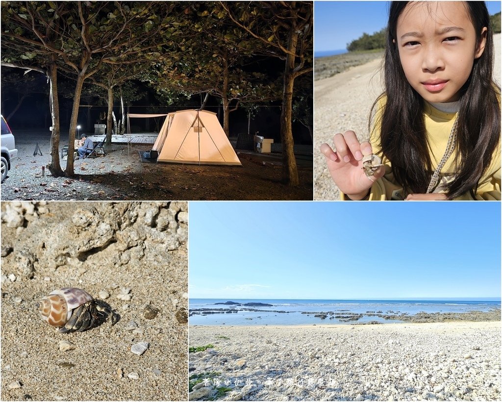 墾丁露營區【29觀海營區】走路就到萬里桐潮間帶看寄居蟹，森林系營位