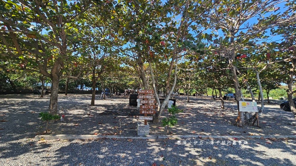 墾丁露營區【29觀海營區】走路就到萬里桐潮間帶看寄居蟹，森林系營位