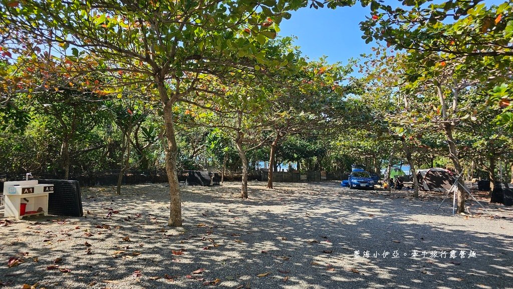 墾丁露營區【29觀海營區】走路就到萬里桐潮間帶看寄居蟹，森林系營位