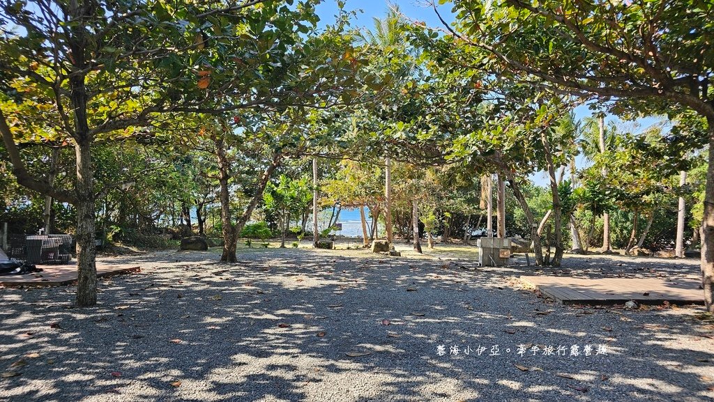 墾丁露營區【29觀海營區】走路就到萬里桐潮間帶看寄居蟹，森林系營位