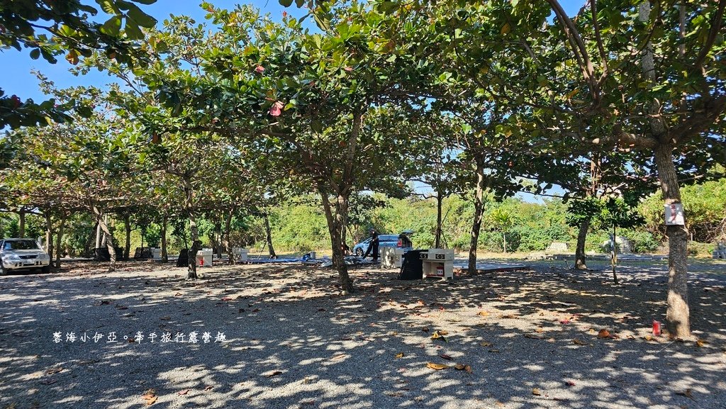 墾丁露營區【29觀海營區】走路就到萬里桐潮間帶看寄居蟹，森林系營位