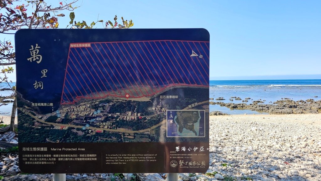 墾丁露營區【29觀海營區】走路就到萬里桐潮間帶看寄居蟹，森林系營位