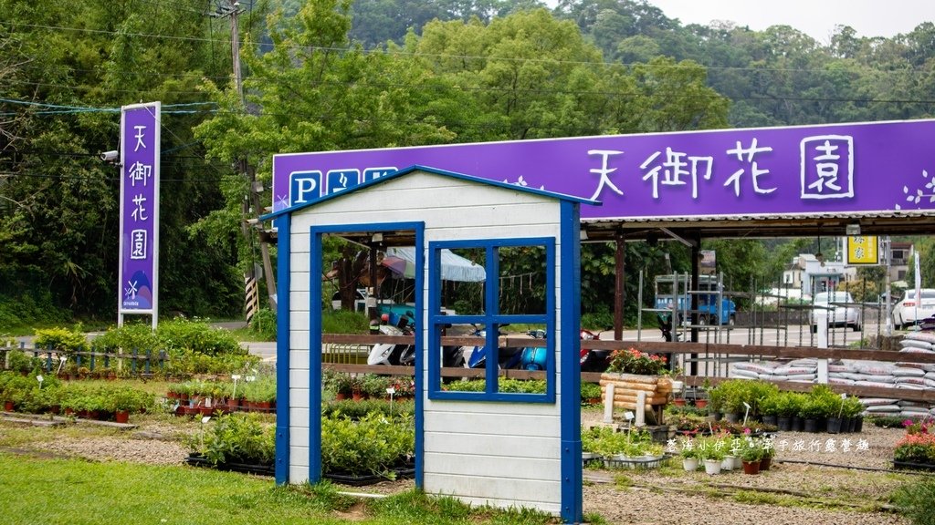桃園免門票景點【大溪天御花園】歐式花園廣場、繡球花美拍、下午茶、綠色草皮