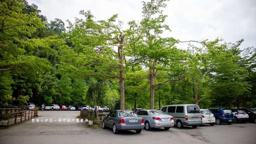 桃園免門票景點【大溪天御花園】歐式花園廣場、繡球花美拍、下午茶、綠色草皮