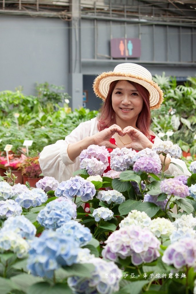 桃園免門票景點【大溪天御花園】歐式花園廣場、繡球花美拍、下午茶、綠色草皮