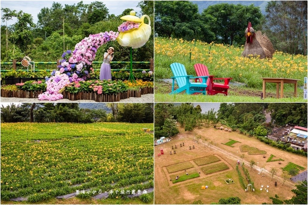 【2025桃園大溪百吉金針花】花現台七-繡球金針農遊趣，北台灣規模最大金針花海（枕頭山魅力商圈）