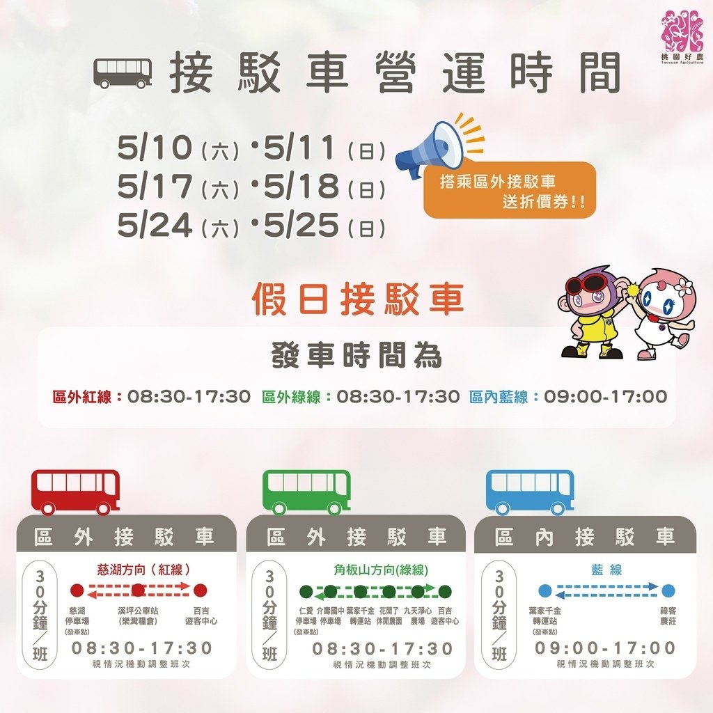 【2025桃園大溪百吉金針花】花現台七-繡球金針農遊趣，北台灣規模最大金針花海（枕頭山魅力商圈）