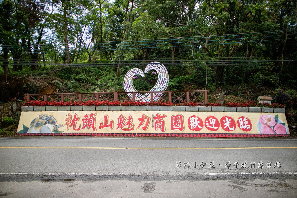 【2025桃園大溪百吉金針花】花現台七-繡球金針農遊趣，北台灣規模最大金針花海（枕頭山魅力商圈）