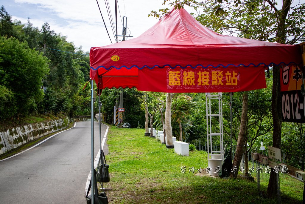 【2025桃園大溪百吉金針花】花現台七-繡球金針農遊趣，北台灣規模最大金針花海（枕頭山魅力商圈）