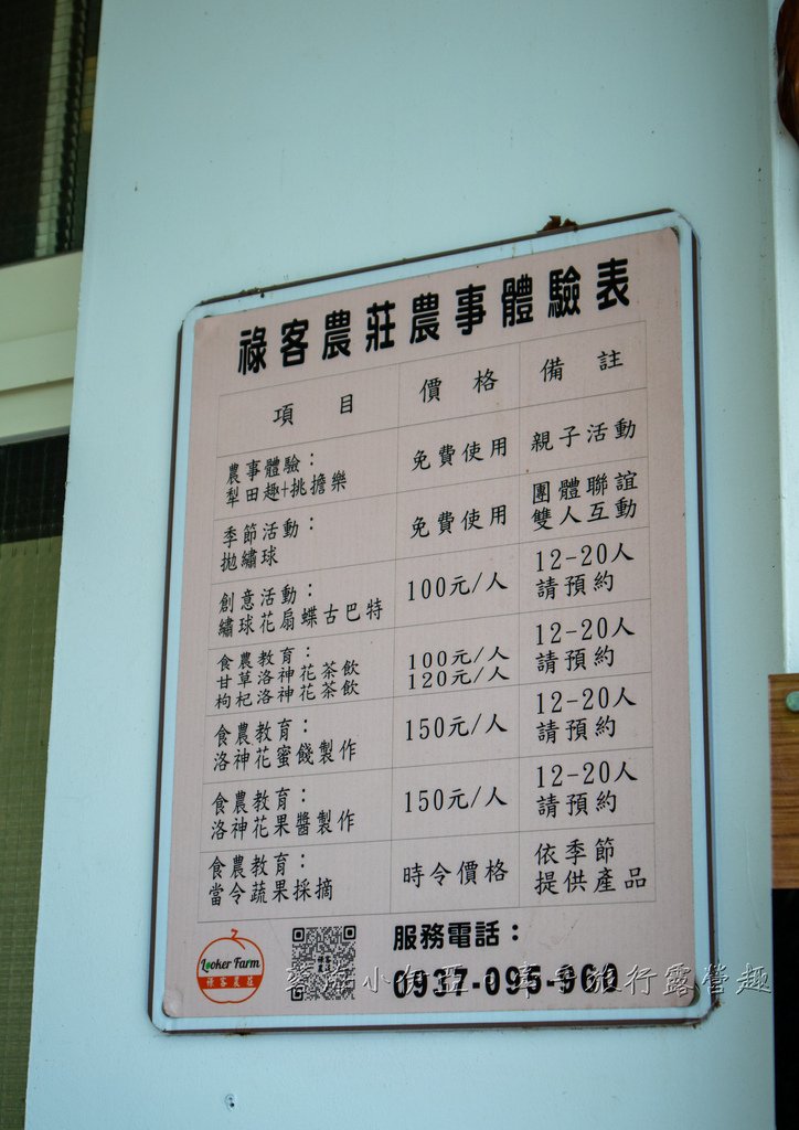【2025桃園大溪百吉金針花】花現台七-繡球金針農遊趣，北台灣規模最大金針花海（枕頭山魅力商圈）