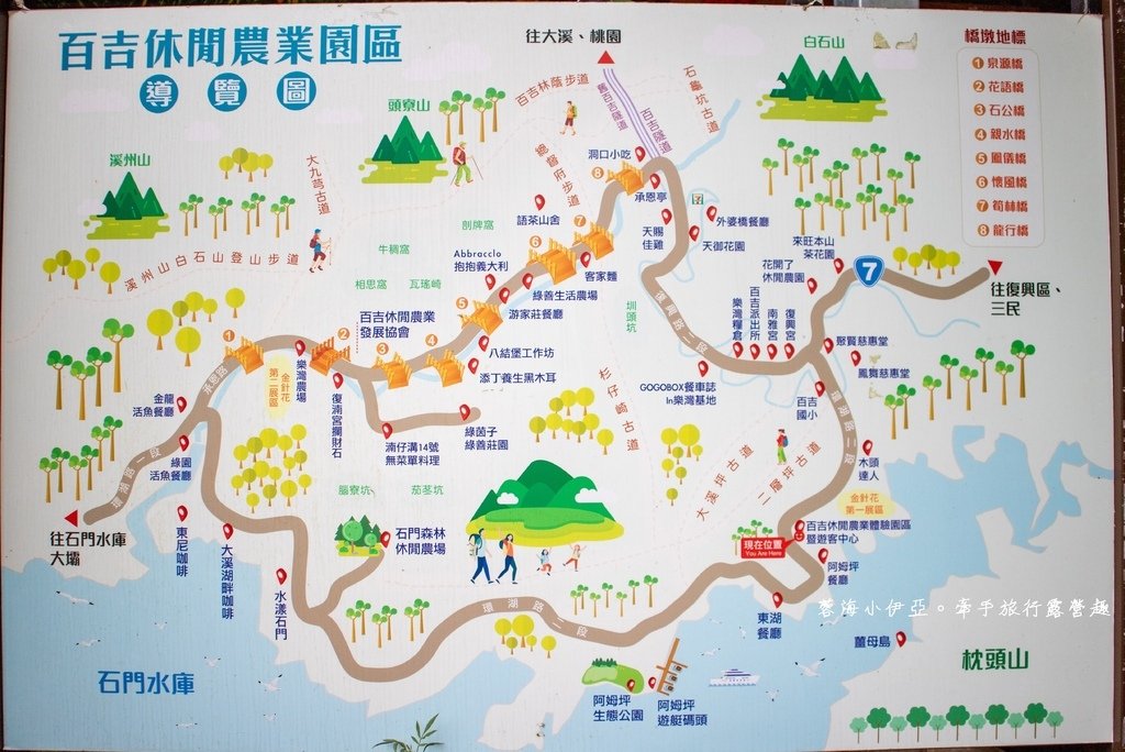 【2025桃園大溪百吉金針花】花現台七-繡球金針農遊趣，北台灣規模最大金針花海（枕頭山魅力商圈）