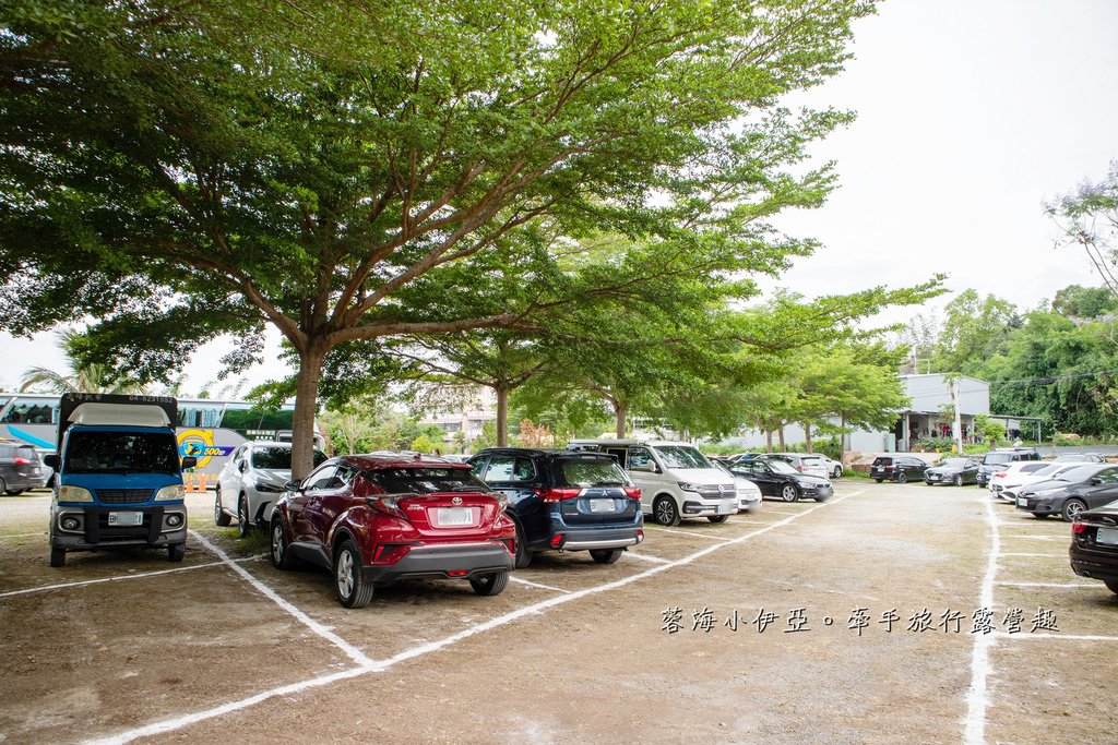 【2025虎山巖金針花】中部最大金針花海，金針花花況、開放時間、停車場、門票資訊