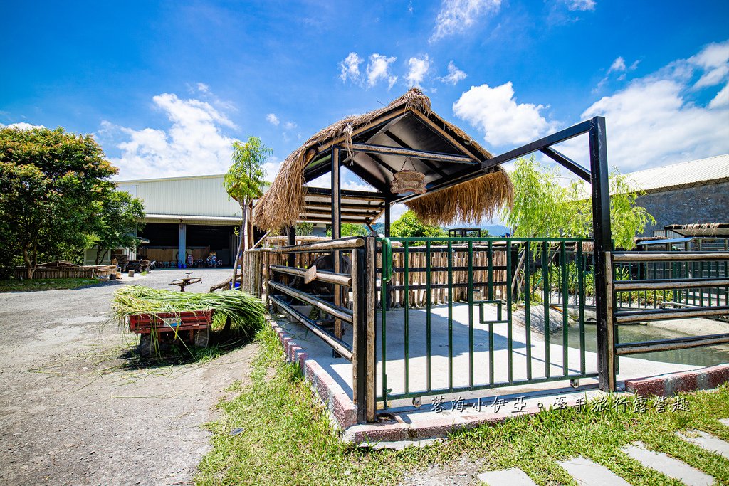 宜蘭景點【心心農家樂】全台唯一療癒系農場，戲水池摸蜆、水牛、抱小豬、小羊、小白兔、雞鴨