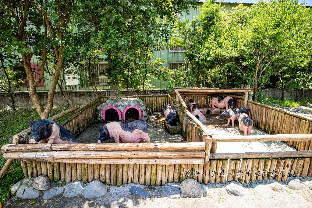 宜蘭景點【心心農家樂】全台唯一療癒系農場，戲水池摸蜆、水牛、抱小豬、小羊、小白兔、雞鴨