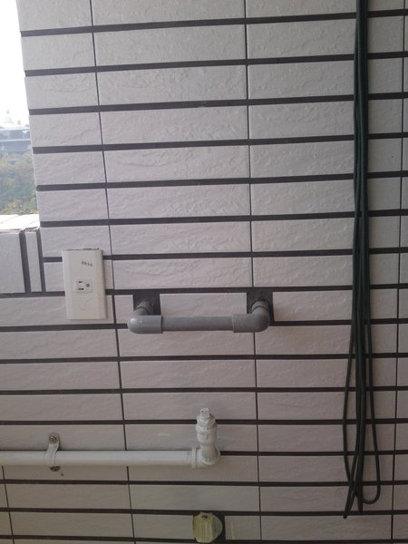 20100109060.JPG