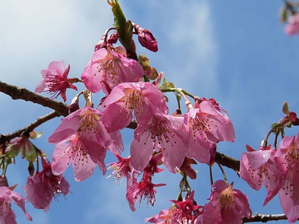088