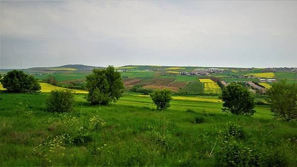 IMG_1985.JPG