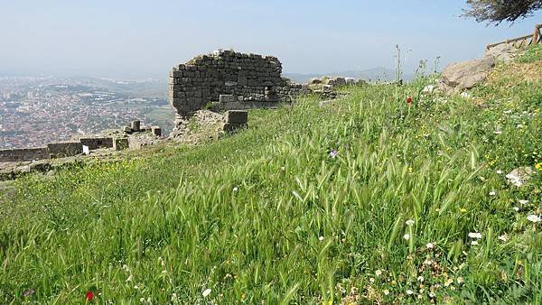 IMG_2173.JPG