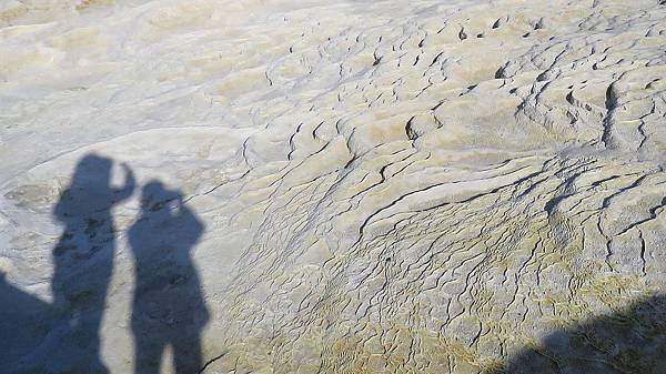 IMG_2463.JPG
