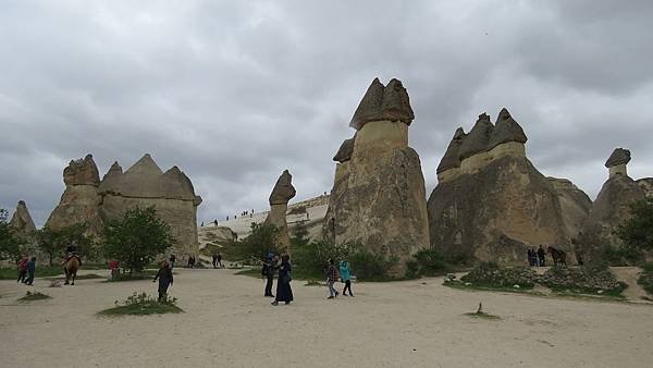 IMG_2560.JPG