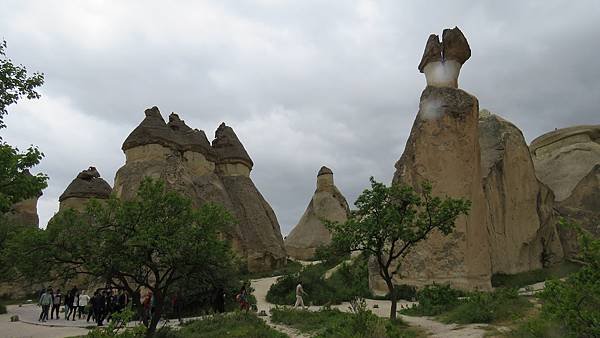 IMG_2565.JPG