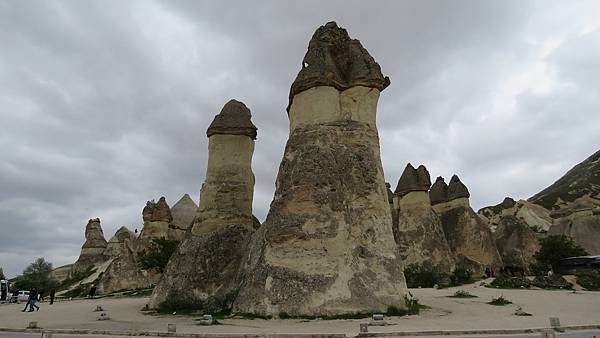 IMG_2556.JPG